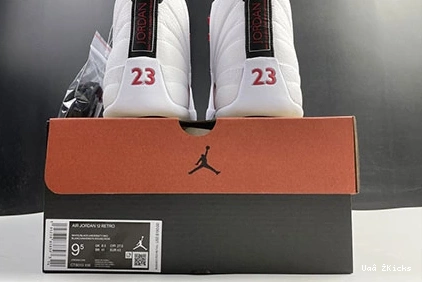 Classic Retro 768 Twist 9210 CT8013- 12 Jordan 0824